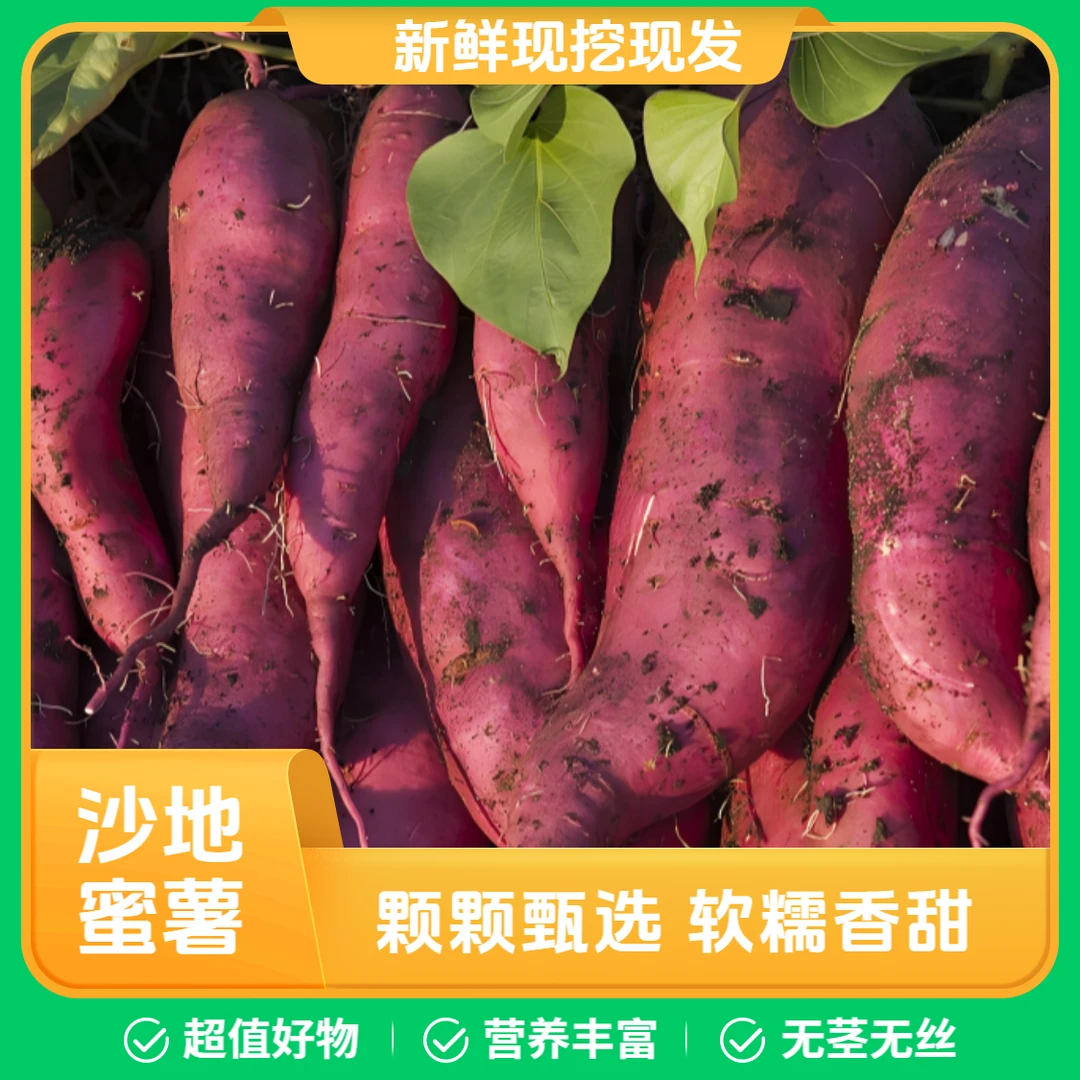 【新鲜现挖】薯农沙塘紫云山沙地蜜薯新鲜番薯5斤装生鲜