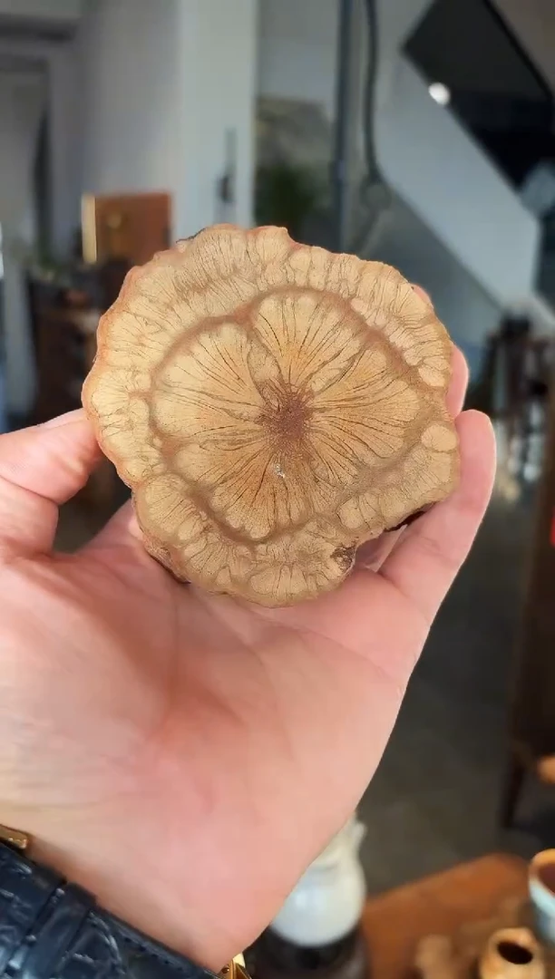 【闪购商品】茶道配件茶道配件2.8 8-10