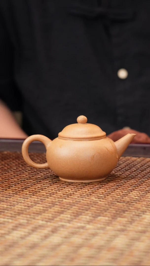 茶壶紫砂汀禾紫砂水平