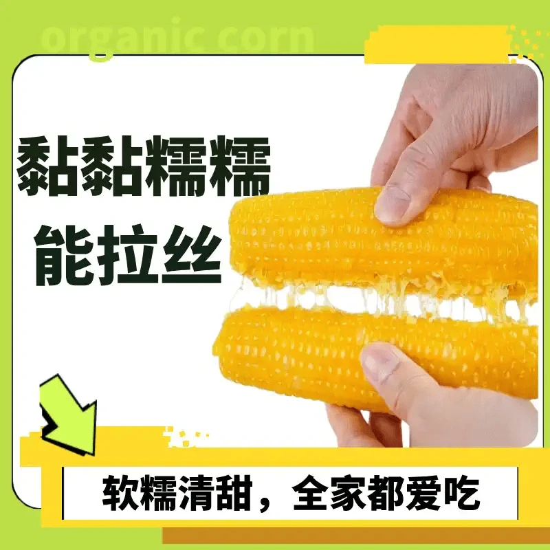 【圣牧沙漠有机糯玉米】源漠优品亨九爷联名款，早餐 粗粮 健身