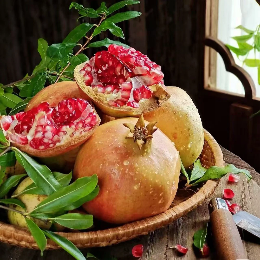 四川会理突尼斯软籽石榴新鲜现摘净重4.5-5斤