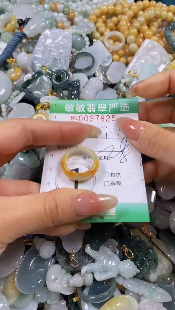 【闪购商品】翡翠颈饰未镶嵌闪购0097825