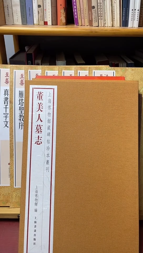 既丑切美（董美人墓志，常丑奴墓志）