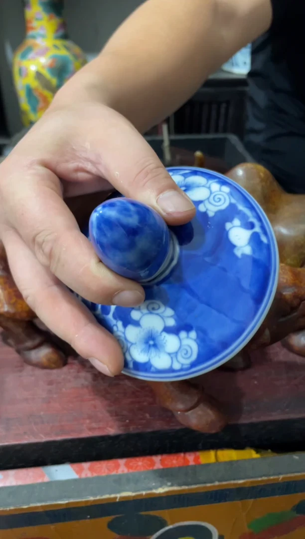 瓷片主播推荐精选好物