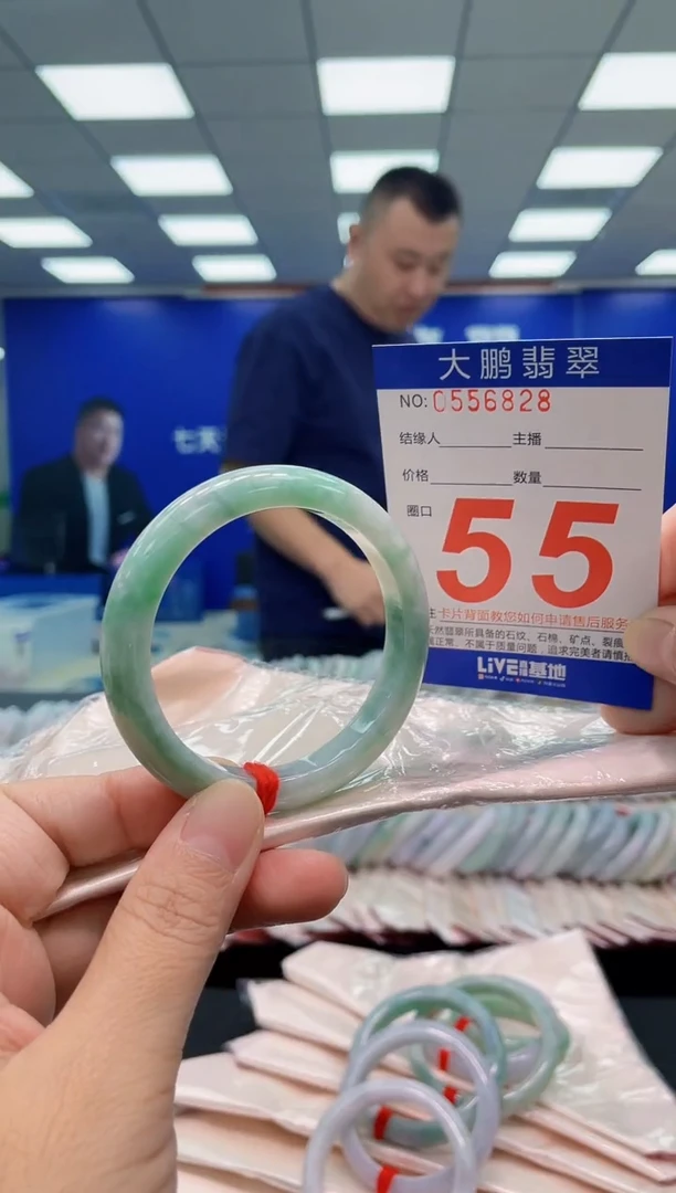 未镶嵌手镯翡翠AAAAAAAAA