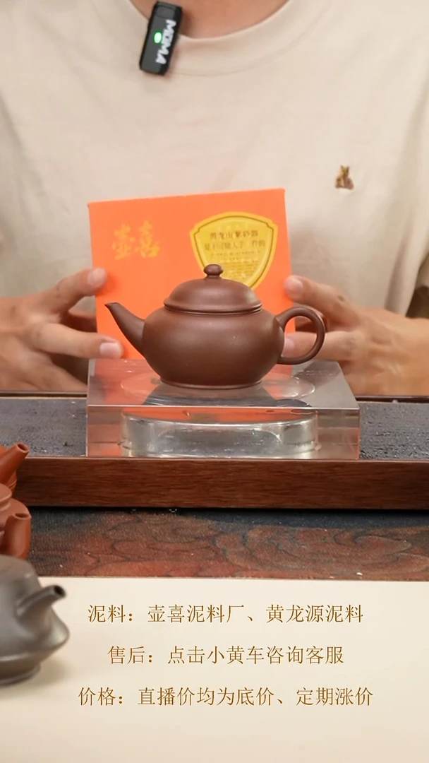 茶壶紫砂 黄龙源 底槽清 盔帽水平 140cc 钱币孔