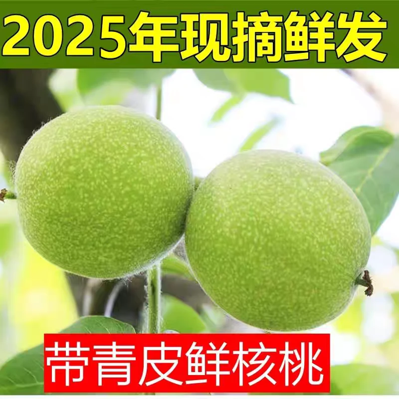 大凉山新鲜现摘薄壳青皮核桃脆甜营养美味嫩核桃坚果零食芯