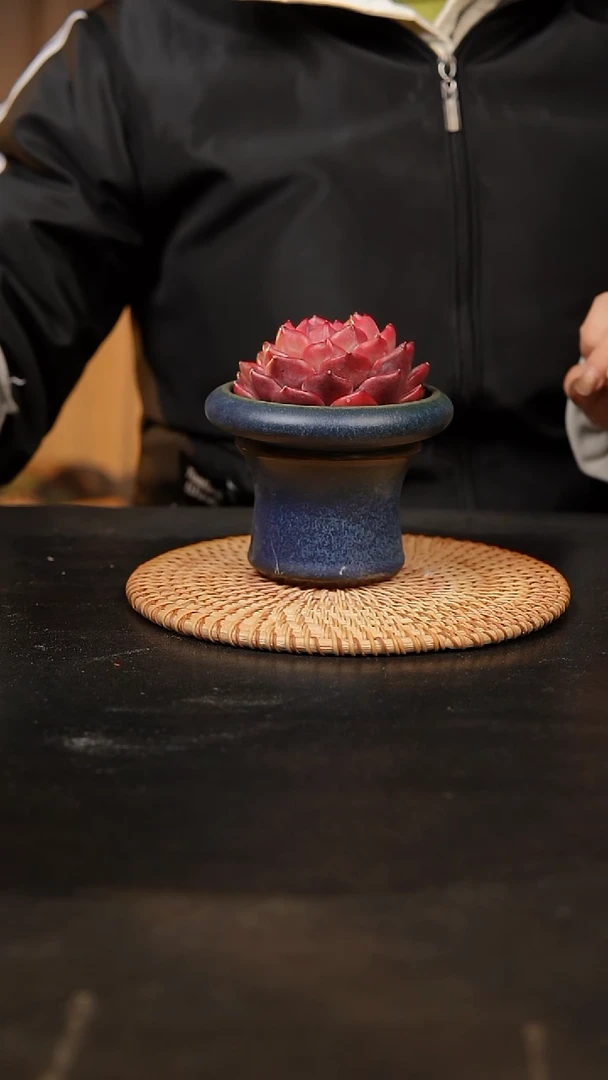 【闪购商品】瓷片泥泥手工花盆口9高9