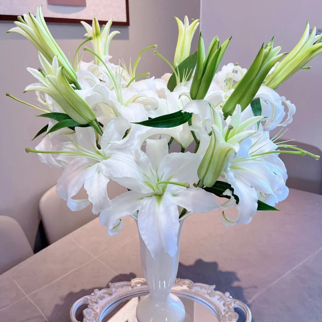 白百合两支四朵（全场任意满两单京东包邮）