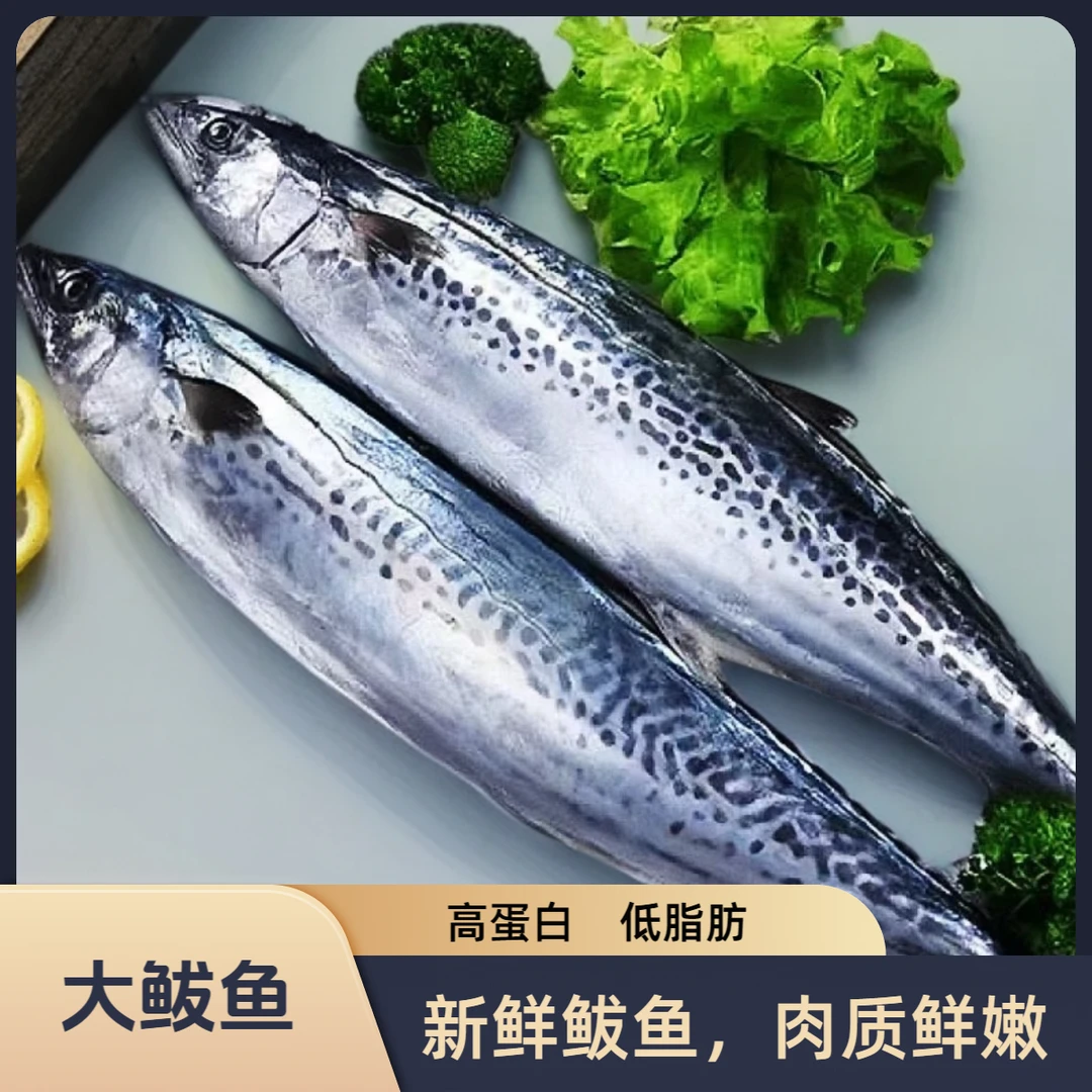 野生海捕新鲜鲅鱼   顺丰包邮