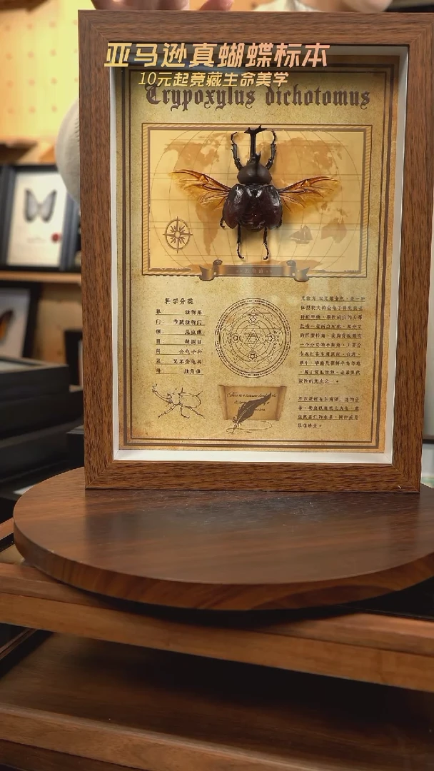 独角仙复古版A4复古框