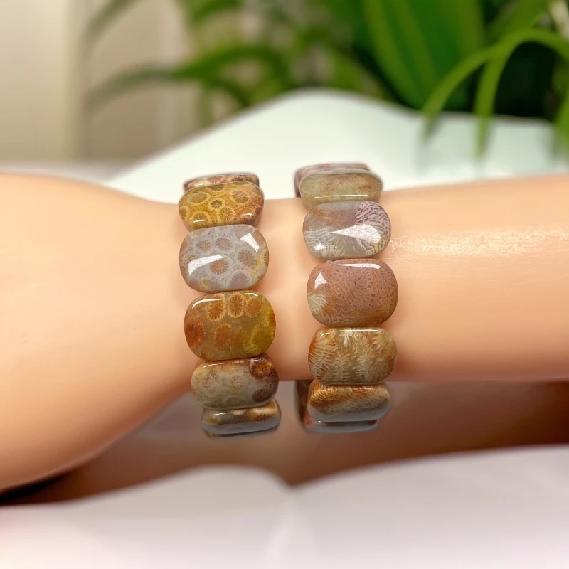 天然正品珊瑚玉菊花石手牌时尚百搭女款颗颗菊花九尾纹菊花石手排