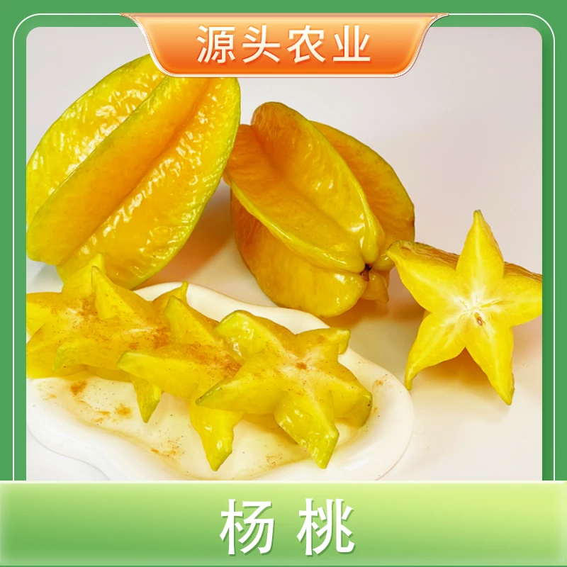 【杨桃】福建漳州杨桃新鲜采摘脆滑多汁 4.5斤装 W