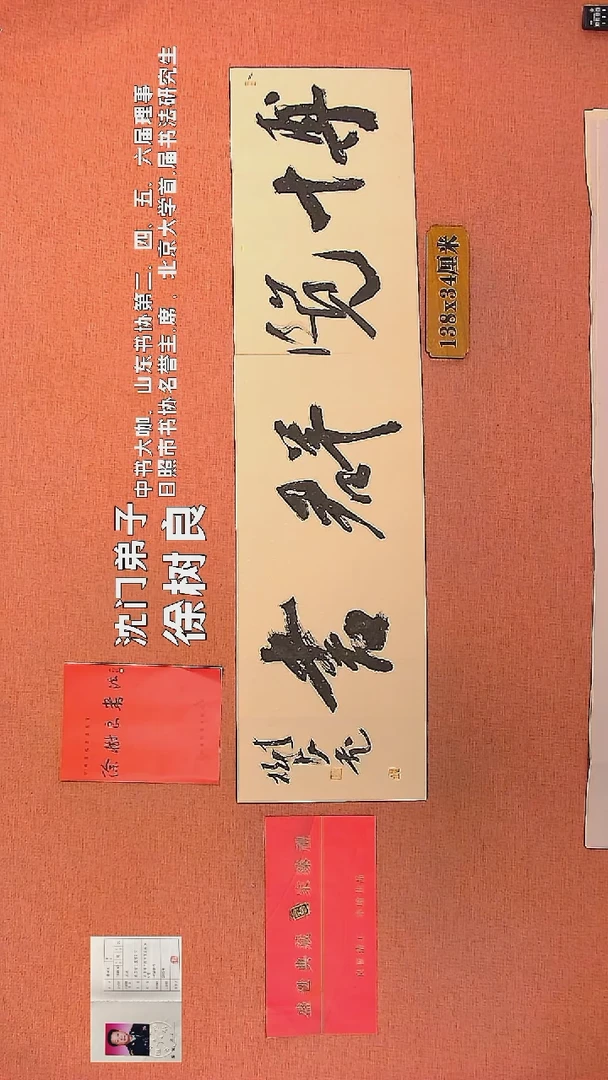 【闪购商品】书法146        徐树良书法作品