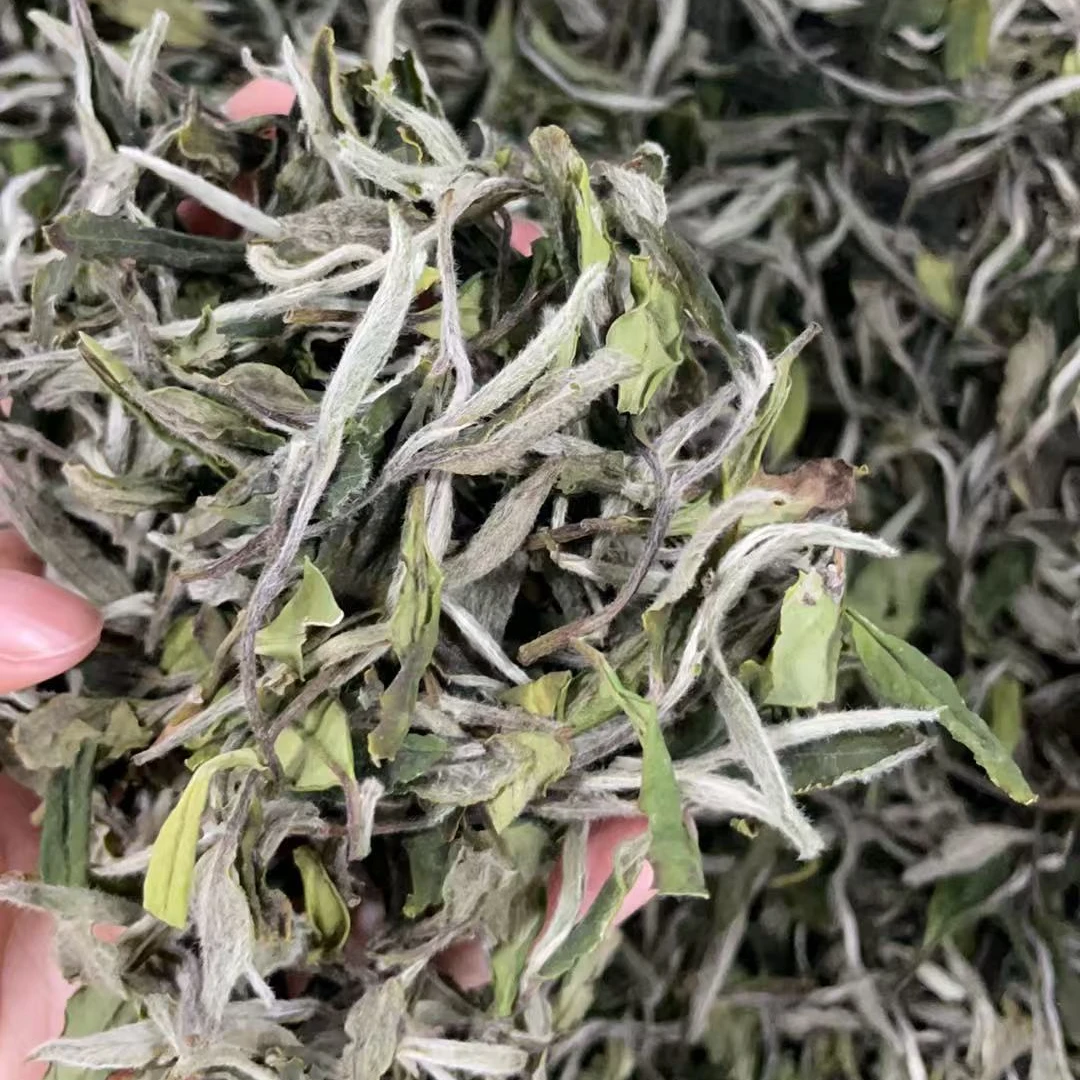 黄师傅基地白牡丹散茶2025年【临时代拍链接】