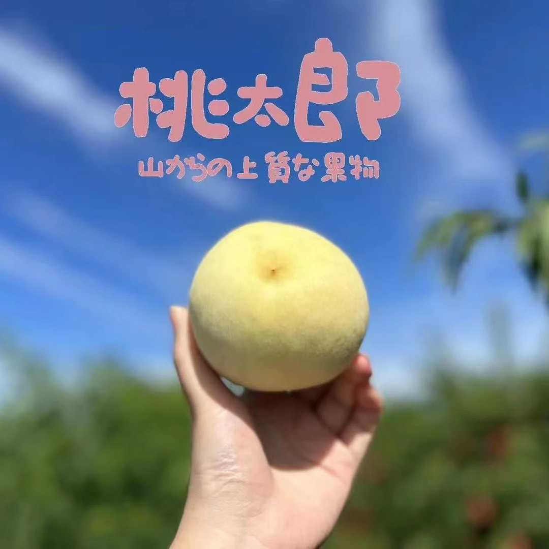 【蓝鲸小掌柜】桃太郎白雪丑冬桃一箱8个4斤左右