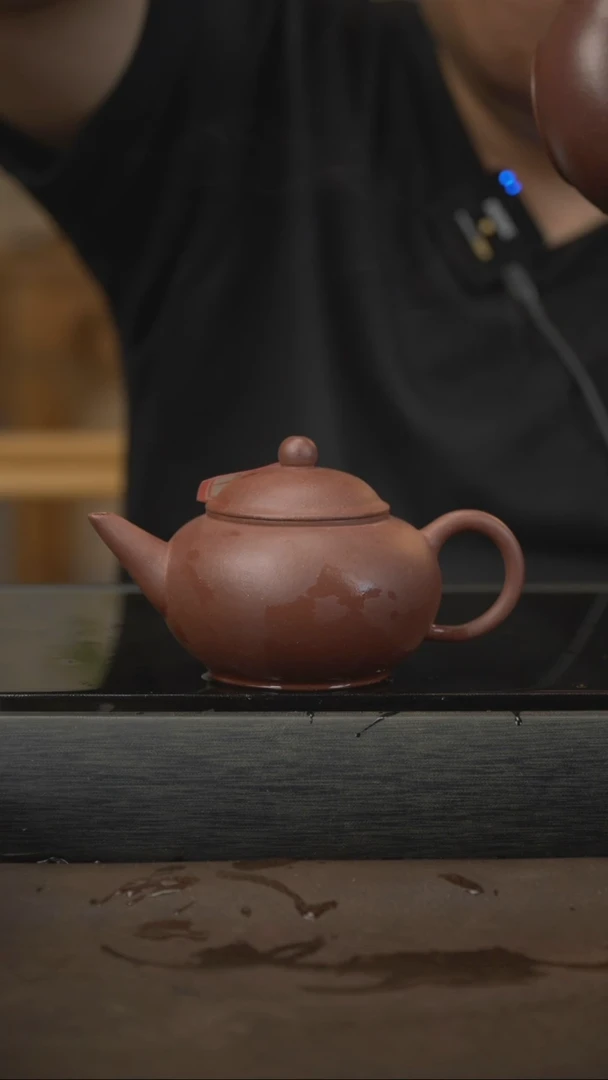 茶壶紫砂14  水平 底槽清 220cc