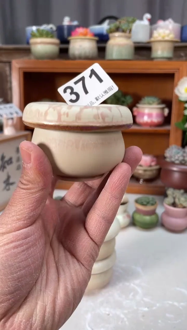 瓷片371小芳直播编号