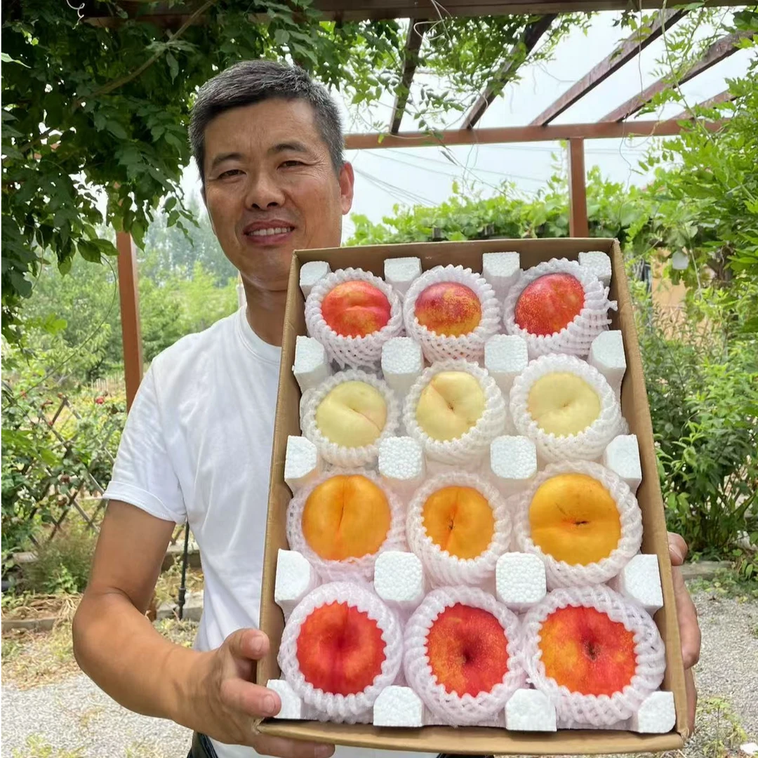 山东蒙阴彩虹蟠桃奶油蟠桃油蟠桃多拼组合