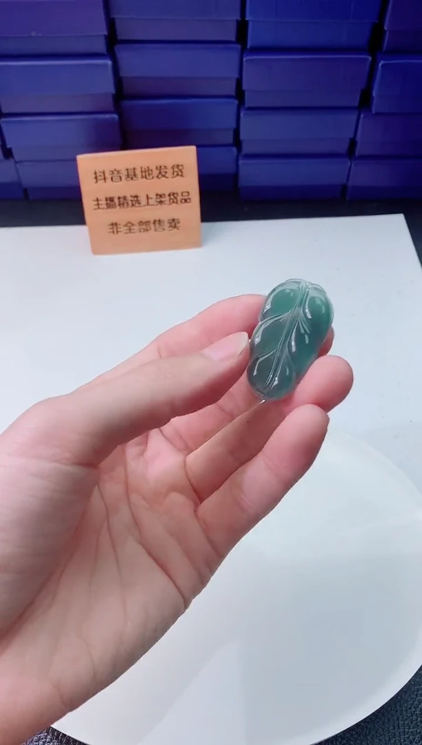 翡翠未镶嵌颈饰