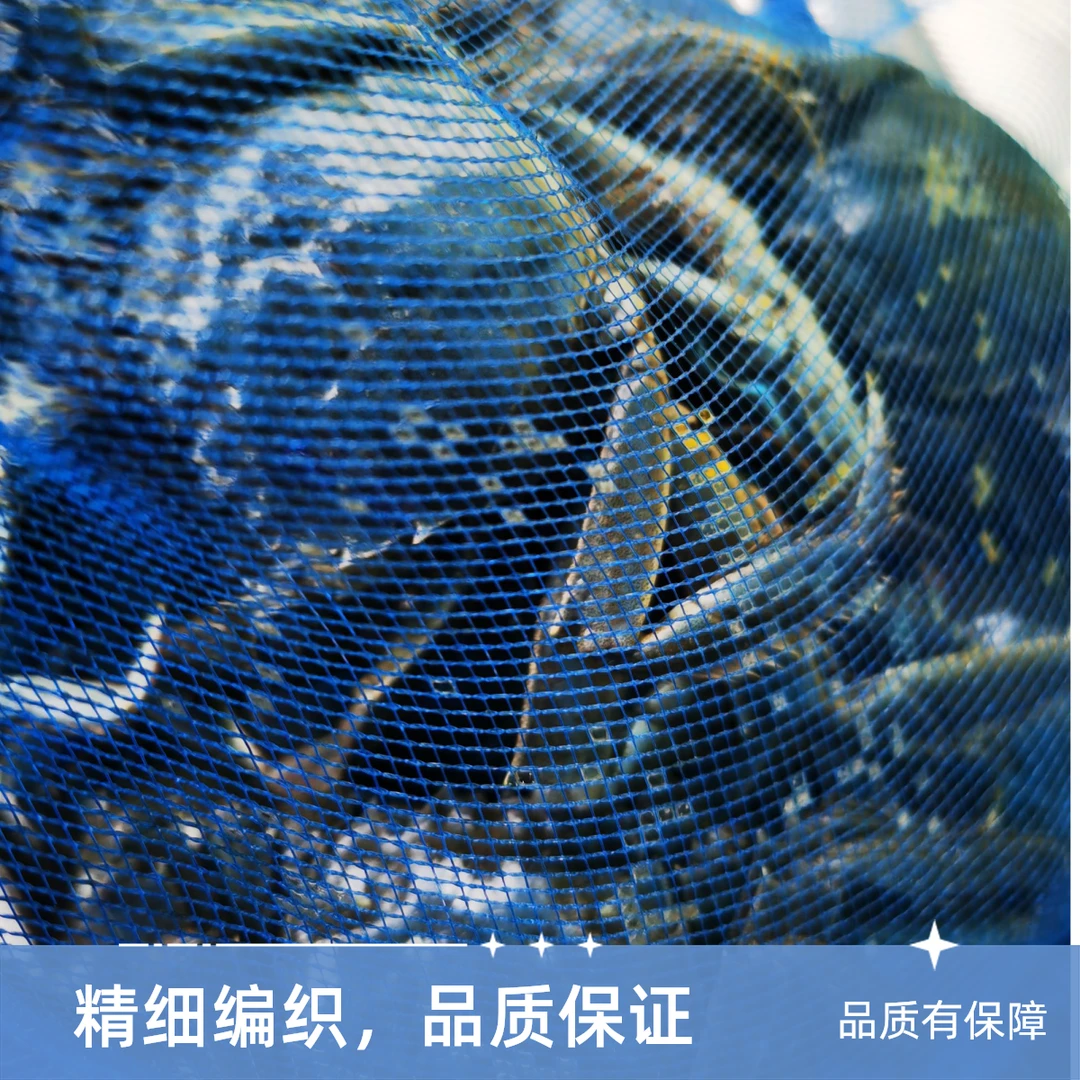 河蟹一两母 1500克