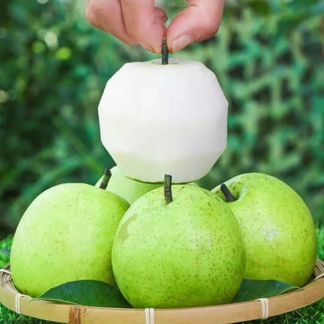 现摘新鲜砀山青皮蜜梨脆甜多汁核小肉厚当季水果万S