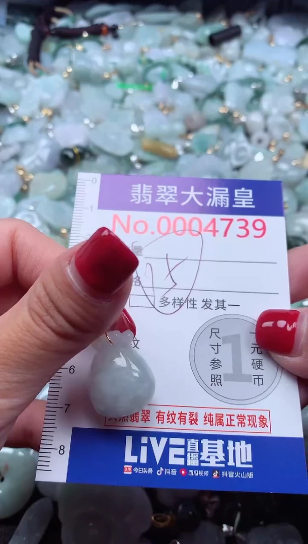 颈饰未镶嵌翡翠4739