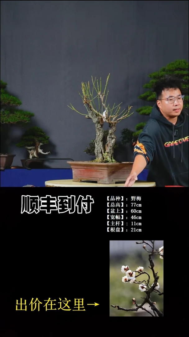 以实际为准野梅bubaoyou