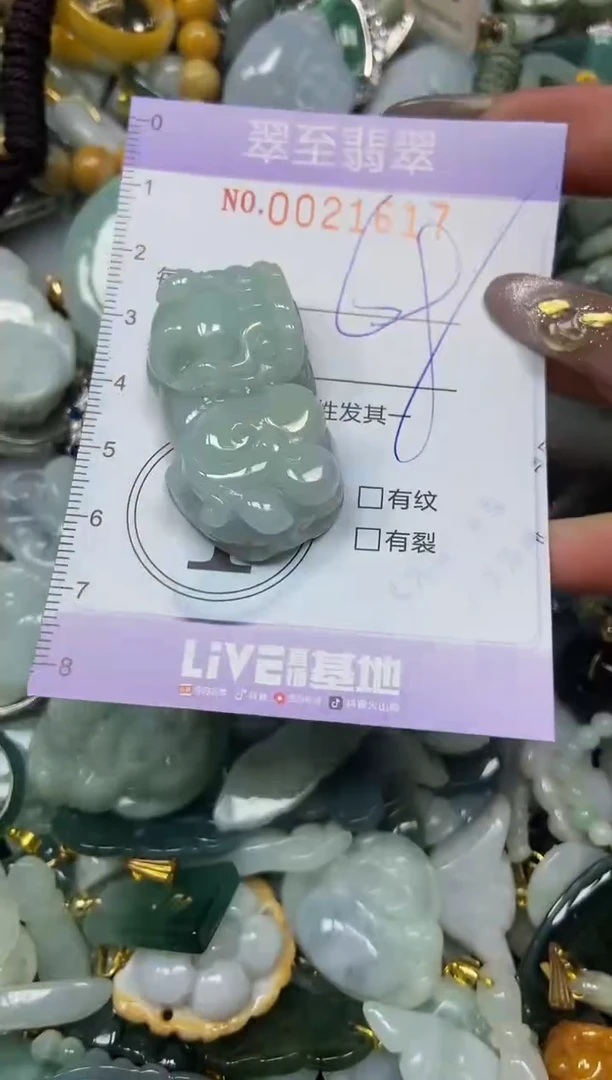 【闪购商品】翡翠颈饰未镶嵌闪购0021617