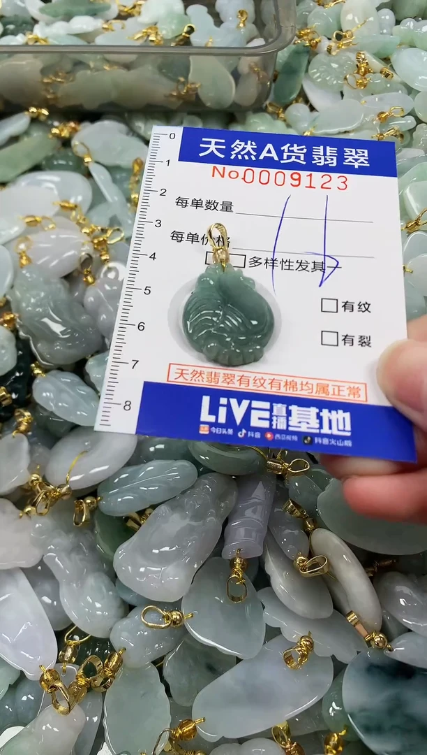 颈饰未镶嵌翡翠纯天然a货翡翠
