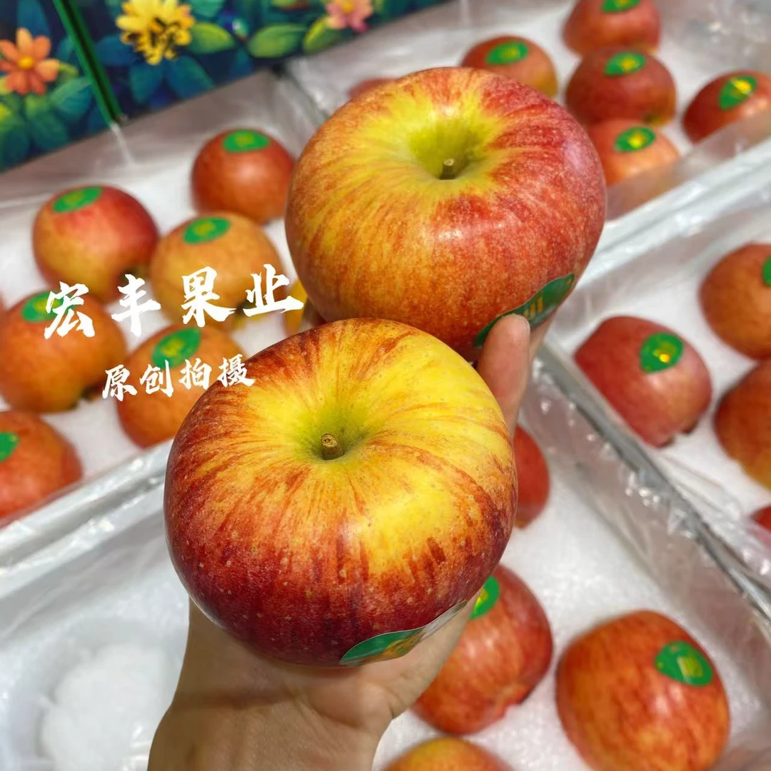 青恋苹果礼盒8个装4.5斤左右山东省