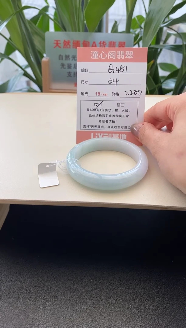 未镶嵌手镯翡翠54圈口G481