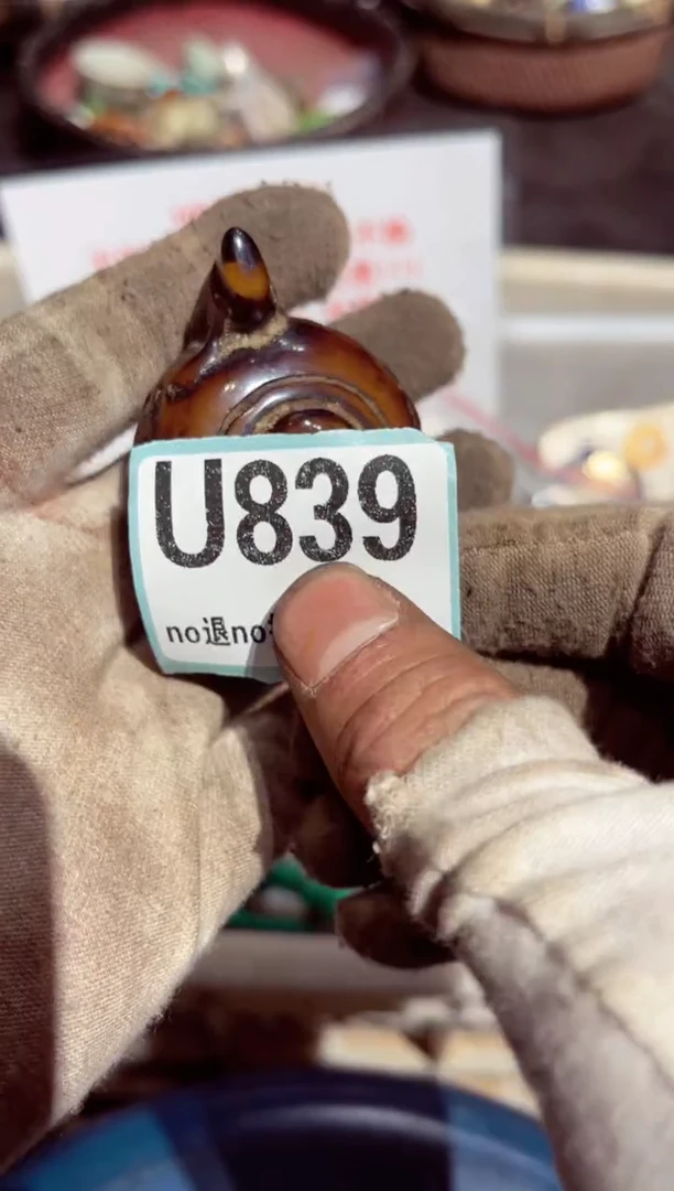 【闪购商品】瓷片瓷片瓷片瓷片瓷片