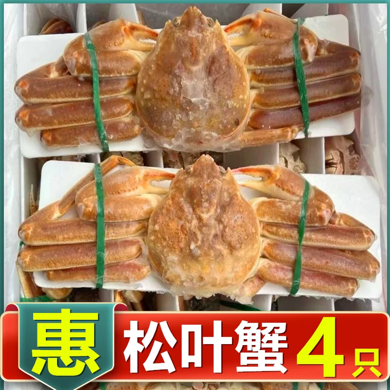 新鲜松叶蟹3斤长脚蟹俄罗斯板蟹雪蟹帝王蟹活冷冻酒楼食材批发