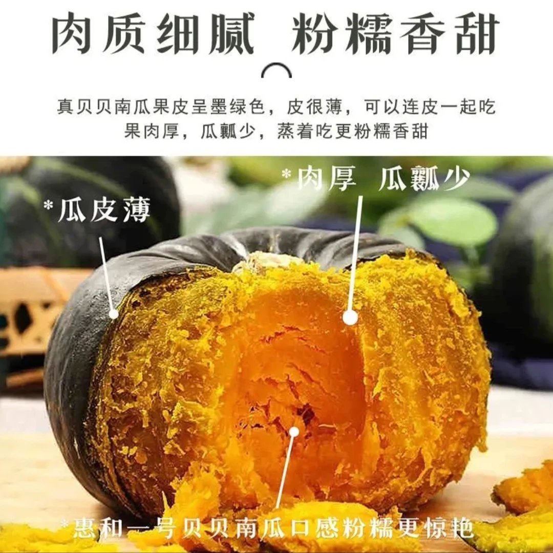 正宗慧和一号贝贝南瓜粉糯香甜板栗味