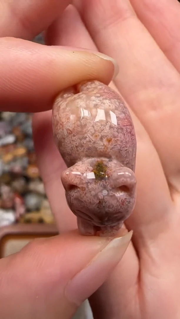 硅化珊瑚（珊瑚玉）未镶嵌颈饰224