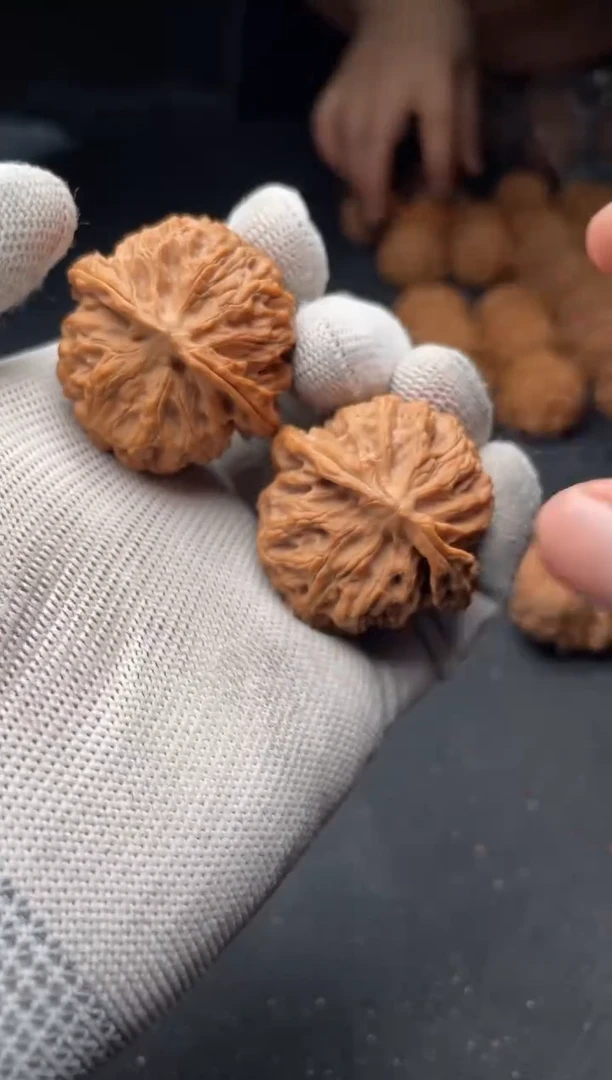 核桃a27 苹果园37尺