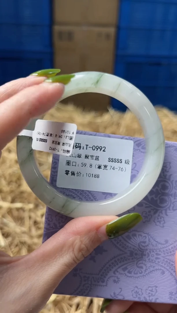 未镶嵌手镯石英质玉T0992