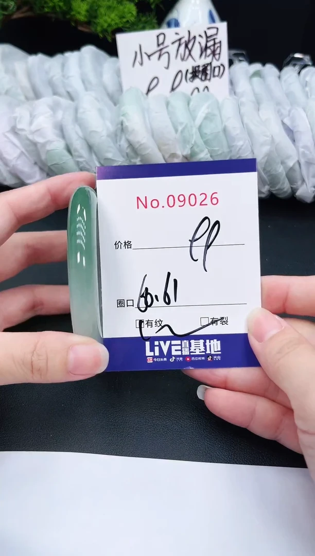 未镶嵌手镯翡翠9026