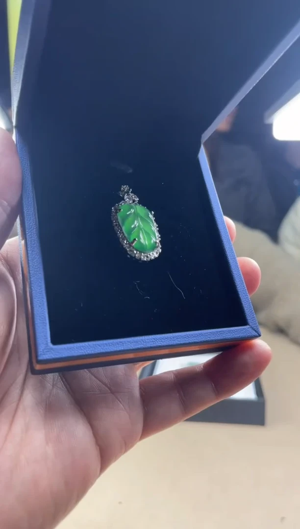 【闪购商品】翡翠颈饰未镶嵌       3967