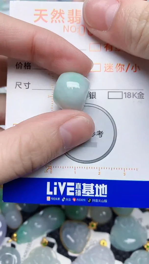 【闪购商品】翡翠颈饰未镶嵌453453453