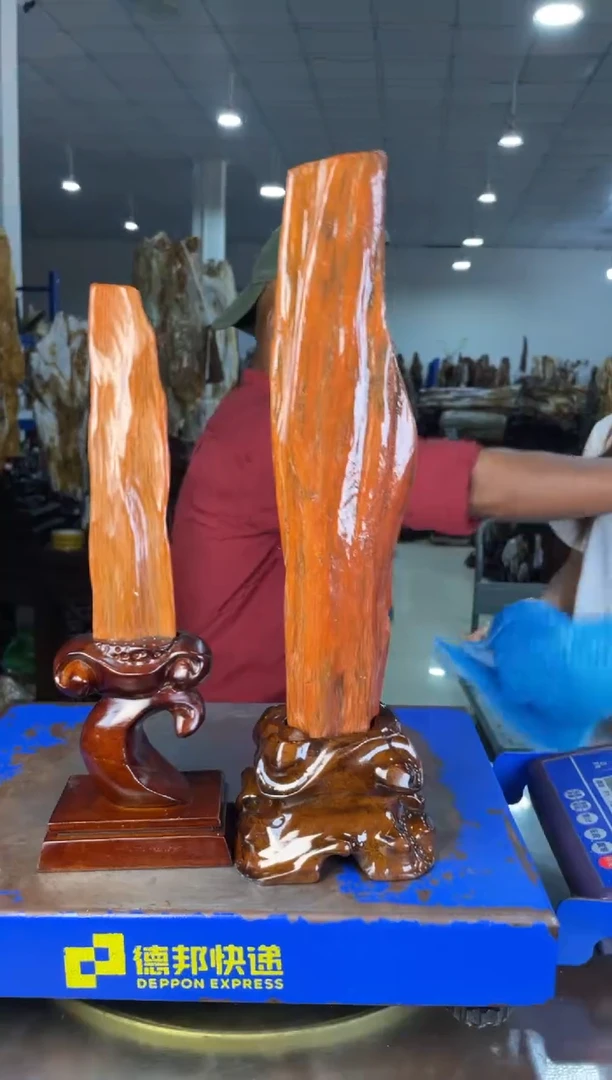 未镶嵌摆件硅化玉6