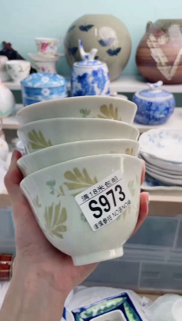 陶瓷N**aS973*******