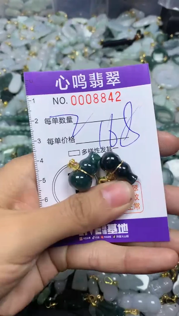 【闪购商品】翡翠颈饰未镶嵌闪购008842