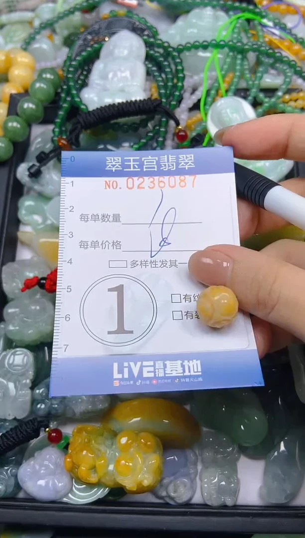 颈饰未镶嵌翡翠闪购C0236087