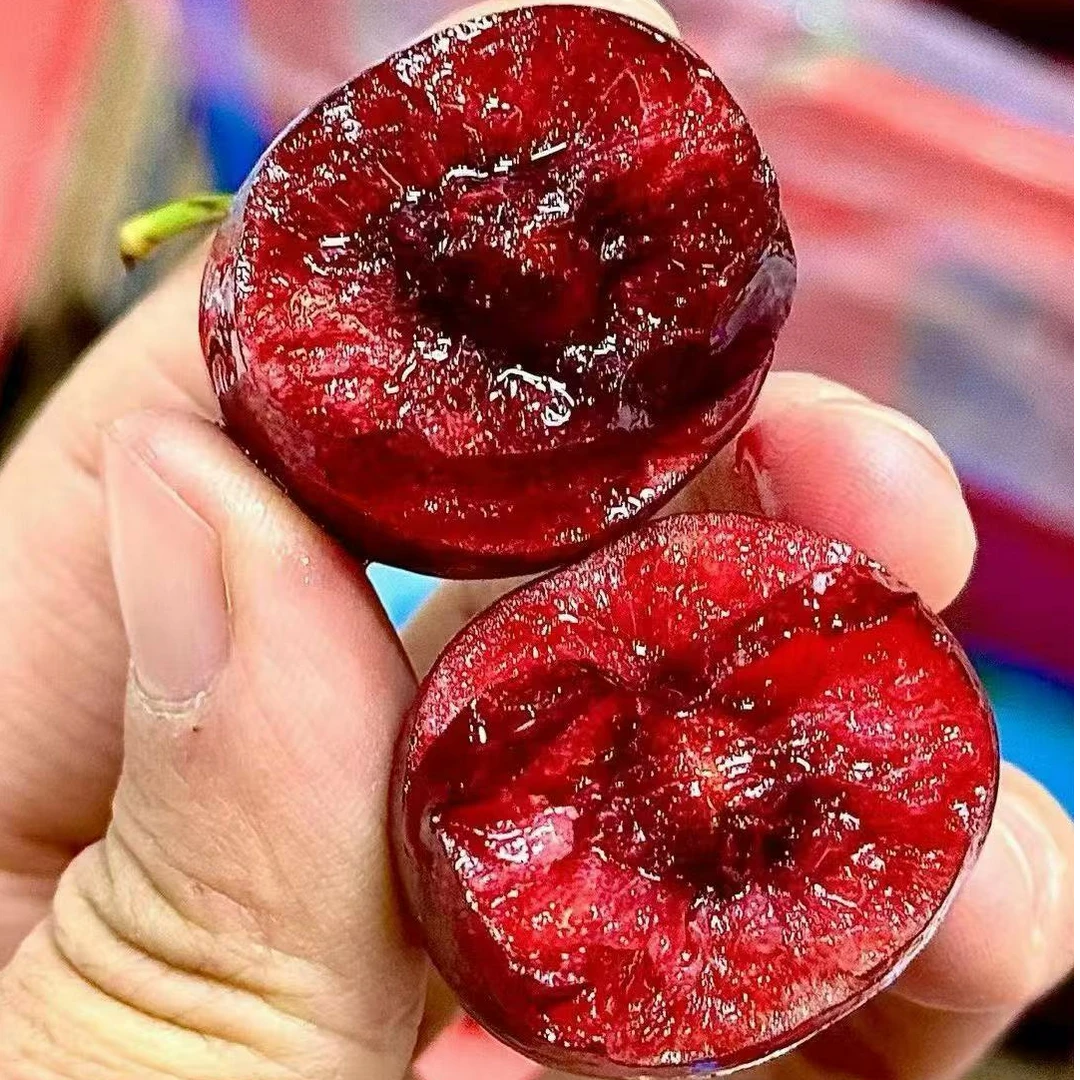 桑提娜海运车厘子JJJ一箱4斤装桑提娜