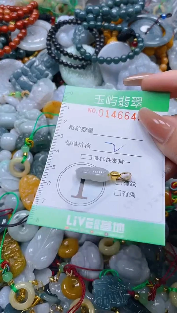 翡翠未镶嵌颈饰闪购0146645