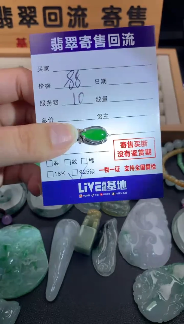 翡翠银S925镶嵌颈饰10140469