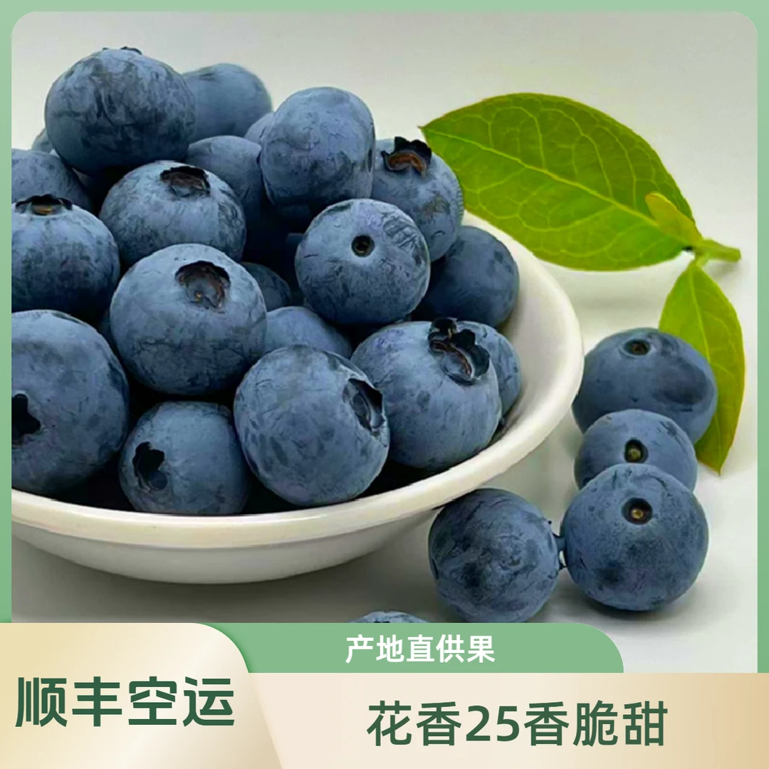 顺丰空运云南抚仙湖花香蓝莓鲜果 脆甜花香浓郁孕妇宝妈新鲜水果