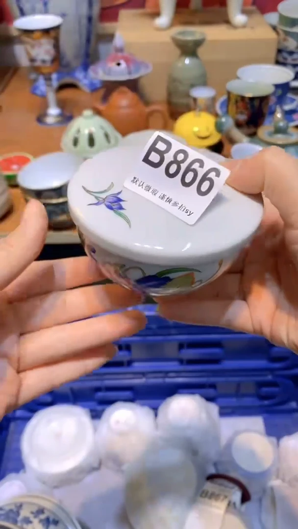 【闪购商品】思羽甄选壹号商品BB866